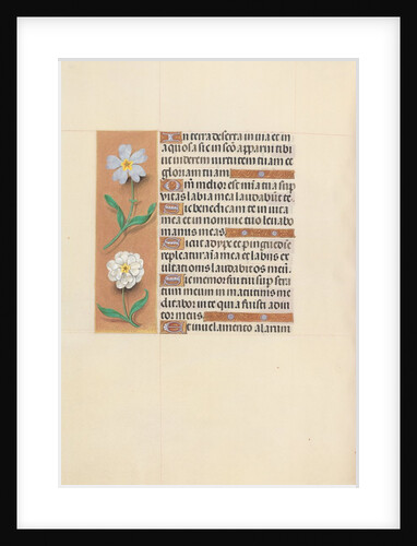 Hours of Queen Isabella the Catholic, Queen of Spain: Fol. 117v, c. 1500 by Master of the First Prayerbook of Maximillian