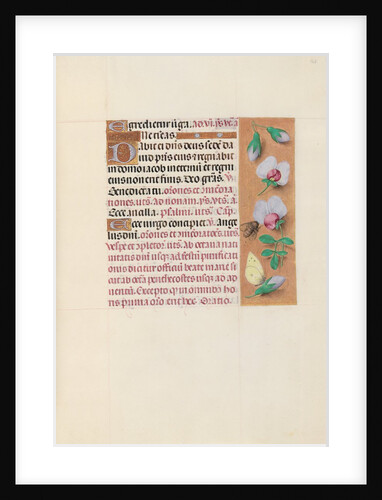 Hours of Queen Isabella the Catholic, Queen of Spain: Fol. 165r, c. 1500 by Master of the First Prayerbook of Maximillian