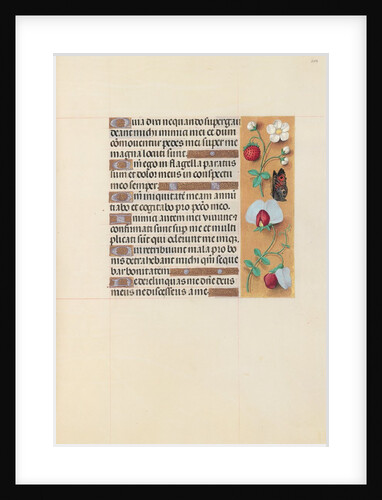 Hours of Queen Isabella the Catholic, Queen of Spain: Fol. 204r, c. 1500 by Master of the First Prayerbook of Maximillian