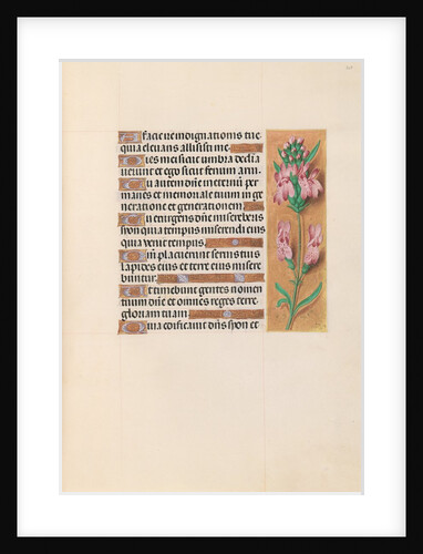 Hours of Queen Isabella the Catholic, Queen of Spain: Fol. 207r, c. 1500 by Master of the First Prayerbook of Maximillian