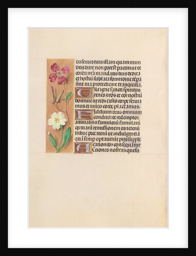 Hours of Queen Isabella the Catholic, Queen of Spain: Fol. 217v, c. 1500 by Master of the First Prayerbook of Maximillian