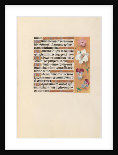 Hours of Queen Isabella the Catholic, Queen of Spain: Fol. 235r, c. 1500 by Master of the First Prayerbook of Maximillian