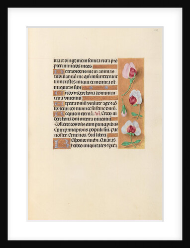 Hours of Queen Isabella the Catholic, Queen of Spain: Fol. 237r, c. 1500 by Master of the First Prayerbook of Maximillian