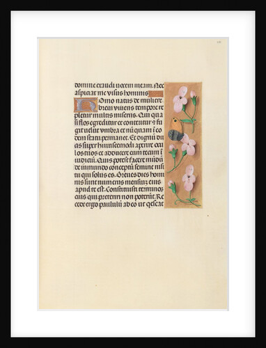 Hours of Queen Isabella the Catholic, Queen of Spain: Fol. 238r, c. 1500 by Master of the First Prayerbook of Maximillian