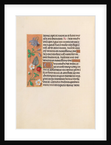 Hours of Queen Isabella the Catholic, Queen of Spain: Fol. 238v, c. 1500 by Master of the First Prayerbook of Maximillian