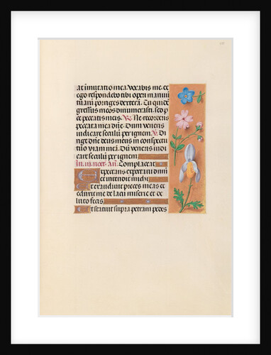 Hours of Queen Isabella the Catholic, Queen of Spain: Fol. 239r, c. 1500 by Master of the First Prayerbook of Maximillian