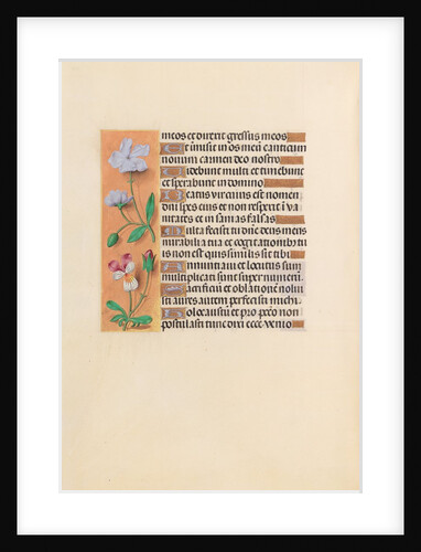 Hours of Queen Isabella the Catholic, Queen of Spain: Fol. 239v, c. 1500 by Master of the First Prayerbook of Maximillian