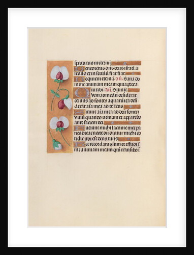 Hours of Queen Isabella the Catholic, Queen of Spain: Fol. 242v, c. 1500 by Master of the First Prayerbook of Maximillian