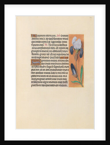 Hours of Queen Isabella the Catholic, Queen of Spain: Fol. 244r, c. 1500 by Master of the First Prayerbook of Maximillian