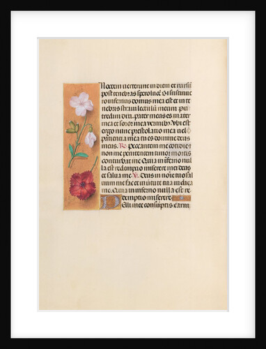 Hours of Queen Isabella the Catholic, Queen of Spain: Fol. 244v, c. 1500 by Master of the First Prayerbook of Maximillian