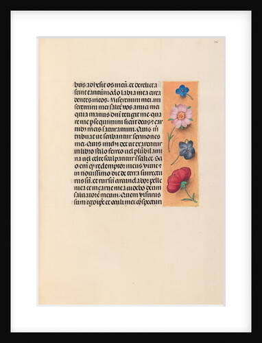 Hours of Queen Isabella the Catholic, Queen of Spain: Fol. 245r, c. 1500 by Master of the First Prayerbook of Maximillian