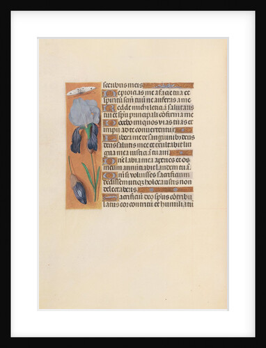 Hours of Queen Isabella the Catholic, Queen of Spain: Fol. 247v, c. 1500 by Master of the First Prayerbook of Maximillian