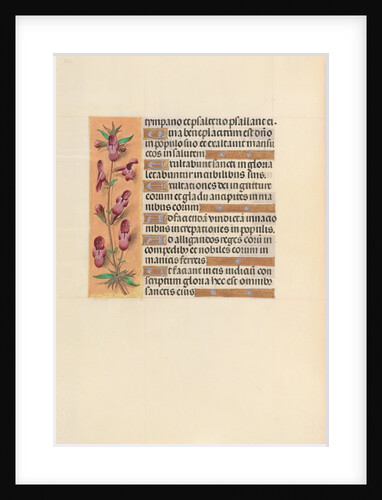 Hours of Queen Isabella the Catholic, Queen of Spain: Fol. 253v, c. 1500 by Master of the First Prayerbook of Maximillian