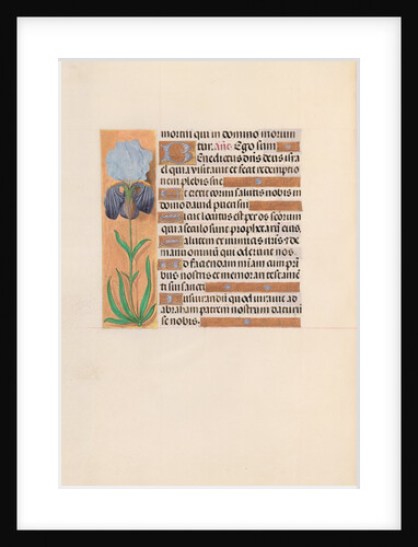 Hours of Queen Isabella the Catholic, Queen of Spain: Fol. 254v, c. 1500 by Master of the First Prayerbook of Maximillian