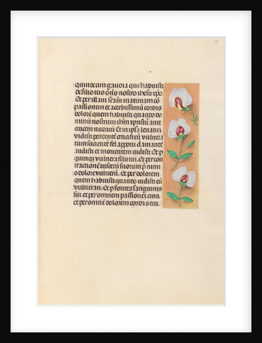 Hours of Queen Isabella the Catholic, Queen of Spain: Fol. 259r, c. 1500 by Master of the First Prayerbook of Maximillian