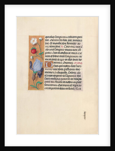 Hours of Queen Isabella the Catholic, Queen of Spain: Fol. 46v, c. 1500 by Master of the First Prayerbook of Maximillian