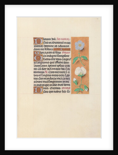 Hours of Queen Isabella the Catholic, Queen of Spain: Fol. 47r, c. 1500 by Master of the First Prayerbook of Maximillian