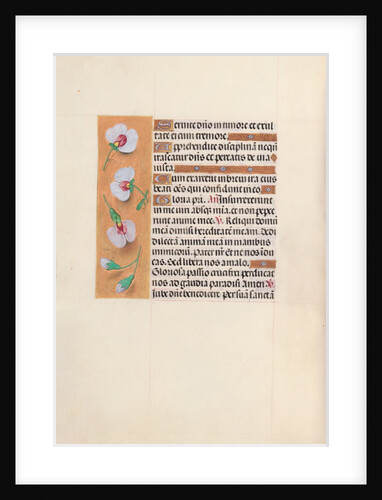 Hours of Queen Isabella the Catholic, Queen of Spain: Fol. 53v, c. 1500 by Master of the First Prayerbook of Maximillian