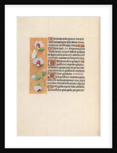 Hours of Queen Isabella the Catholic, Queen of Spain: Fol. 74v, c. 1500 by Master of the First Prayerbook of Maximillian