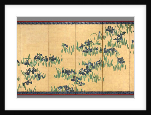 Irises, 1700s by Watanabe Shik?