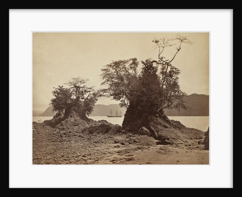 Islands in Limón Bay, 1871 by John Moran