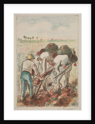 La Charrue, 1901 by Camille Pissarro