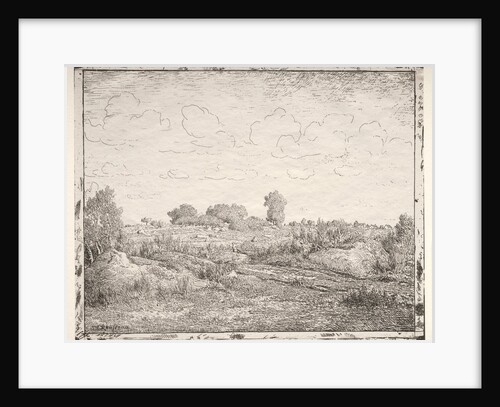 La Plaine de la Plante à Biau by Théodore Rousseau