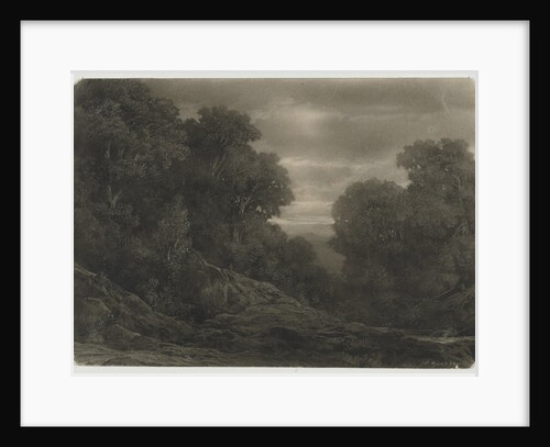 Landscape with Trees by Jean-Philippe George