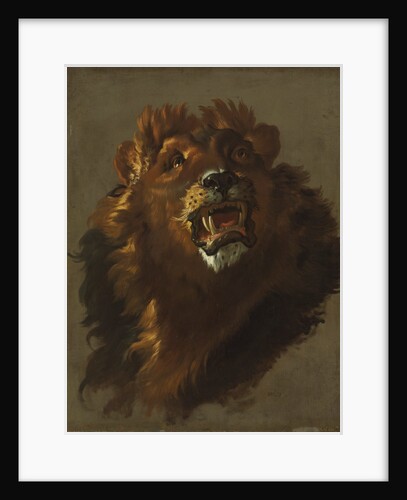 Lion, 1750s by Giuseppe Baldrighi