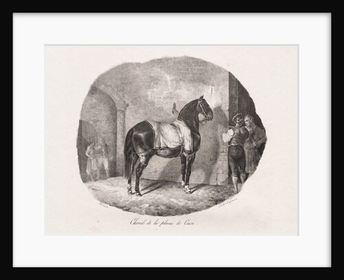 Lithographed Studies of Horses: Pl. 7, Horse from the Caen Plain, 1822 by Théodore Géricault; Gihaut