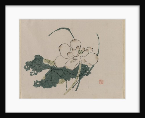 Lotus Blossom, 1368-1644 by Unknown