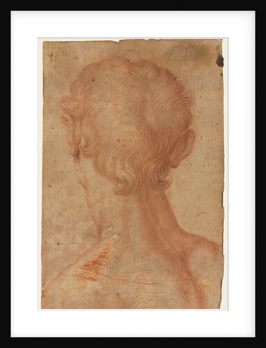 Man's Head from the Back by Unknown