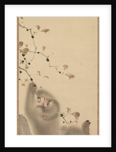 Monkey Hanging on to a Branch, 1780 by Mori Sosen