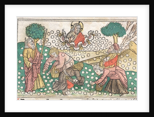 Nüremberg Bible: Manna Falling from Heaven, 1400s by Unknown