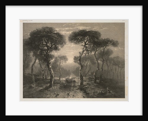 Oeuvres de A. Calame, No. 13: Forêt de Sierre en Valais, 1843 by Alexandre Calame; F. Delarue