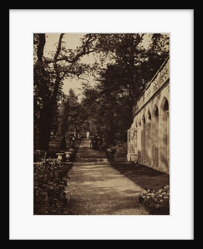 Orangery and Flower Garden at Singleton, Glamorganshire, 1854 by W. Graham Vivian