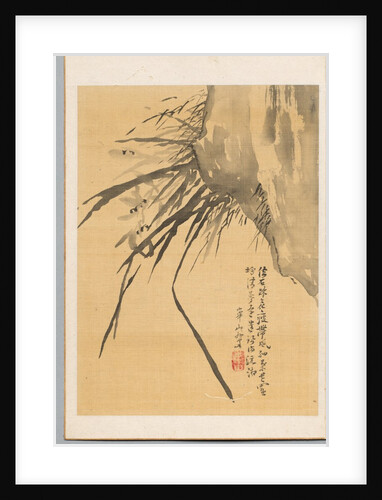 Orchid, 19th century by Watanabe Kazan