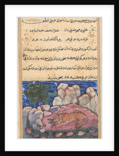Page from Tales of a Parrot: Fifteenth night: The lion disturbed by mice…, 1558-1560 by Unknown