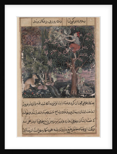 Page from Tales of a Parrot: Fifth night: The hunter throws away the baby…, c. 1560 by Basavana (attributed to)