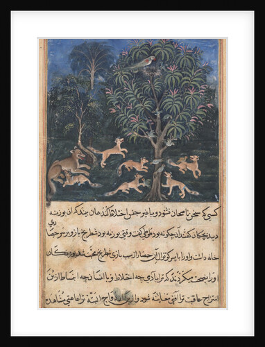 Page from Tales of a Parrot: Fifth night: The parrot mother cautions…, c. 1560 by Daswanth