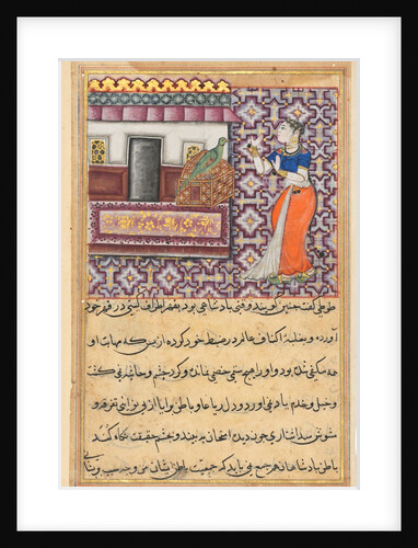 Page from Tales of a Parrot: Fiftieth night: The parrot addresses Khujasta…, c. 1560 by Unknown