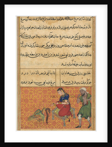 Page from Tales of a Parrot: Fifty-second night: The bird of seven colours?, c. 1560 by Unknown