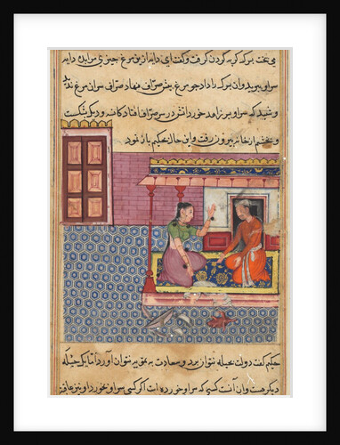 Page from Tales of a Parrot: Fifty-second night: The pious man?s wife…, c. 1560 by Unknown