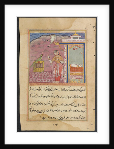 Page from Tales of a Parrot: Forty-fourth night: The parrot addresses…, c. 1560 by Unknown