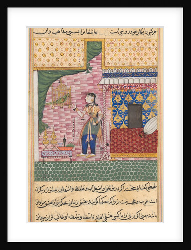 Page from Tales of a Parrot: Seventeenth night: The parrot…, c. 1560 by Unknown