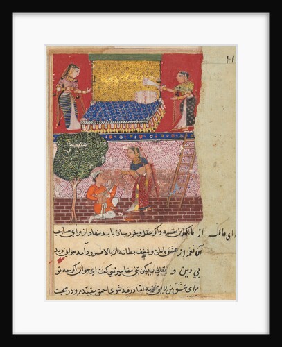 Page from Tales of a Parrot: Sixteenth night: The daughter-in-law of the king?, c. 1560 by Unknown