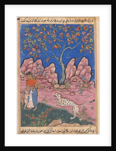 Page from Tales of a Parrot: Thirtieth night: The woman conversing…, c. 1560 by Unknown