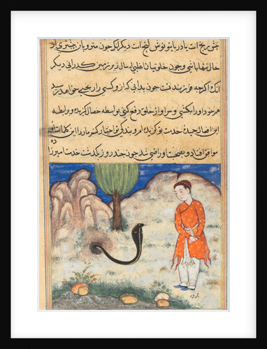 Page from Tales of a Parrot: Thirty-seventh night: The prince…, c. 1560 by Unknown