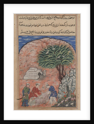 Page from Tales of a Parrot: Twentieth night: The suitors take…, c. 1560 by Unknown