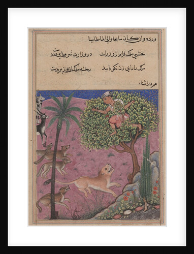Page from Tales of a Parrot: Twenty-first night: The wolf and the jackal…, c. 1560 by Unknown